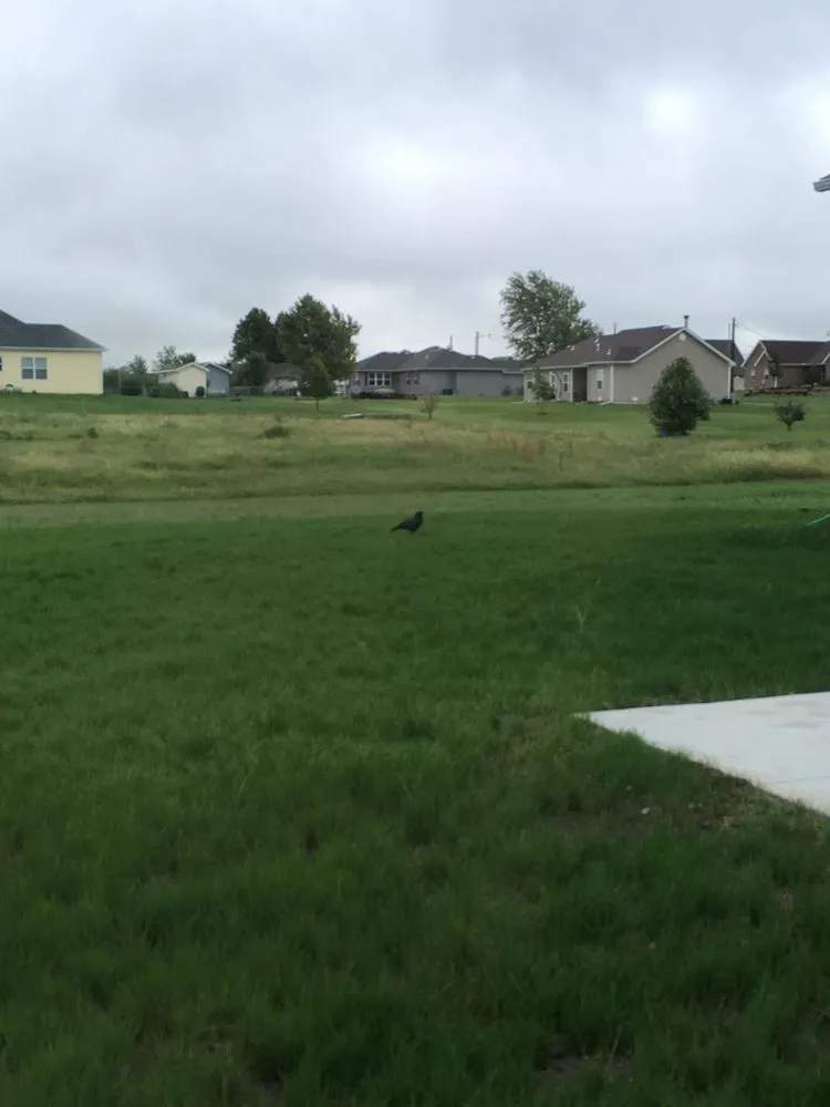 Local landscape design in Webb City, MO - Pure Lawn Management