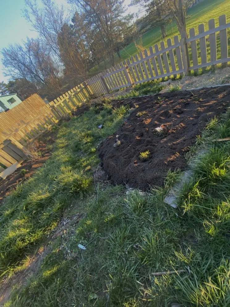 Affordable landscape installation in Clinton Township, MI by Pure Michigan Lawn Care