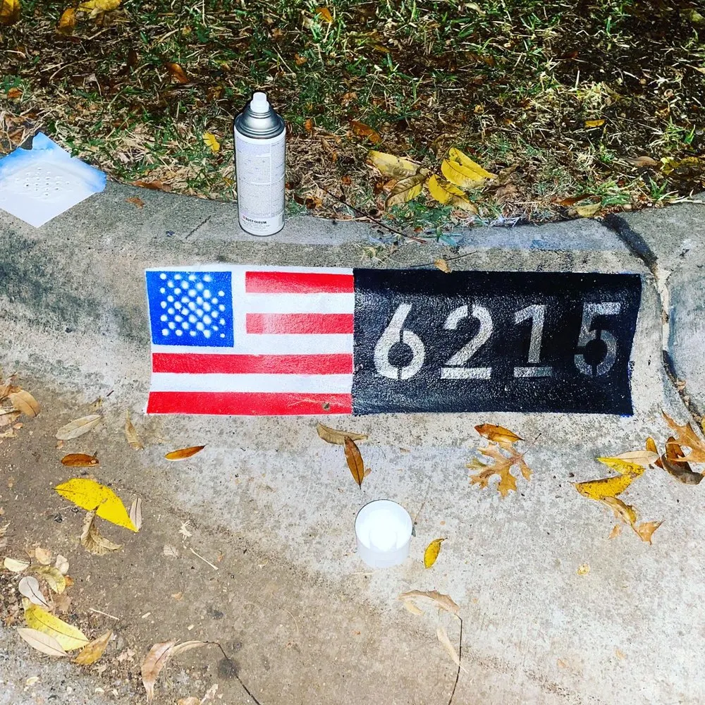 Professional lawn care service in Houston, TX - Pure-N-Rich