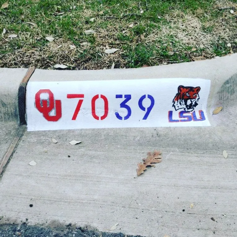 Trusted yard maintenance for beautiful yards in Houston, TX by Pure-N-Rich