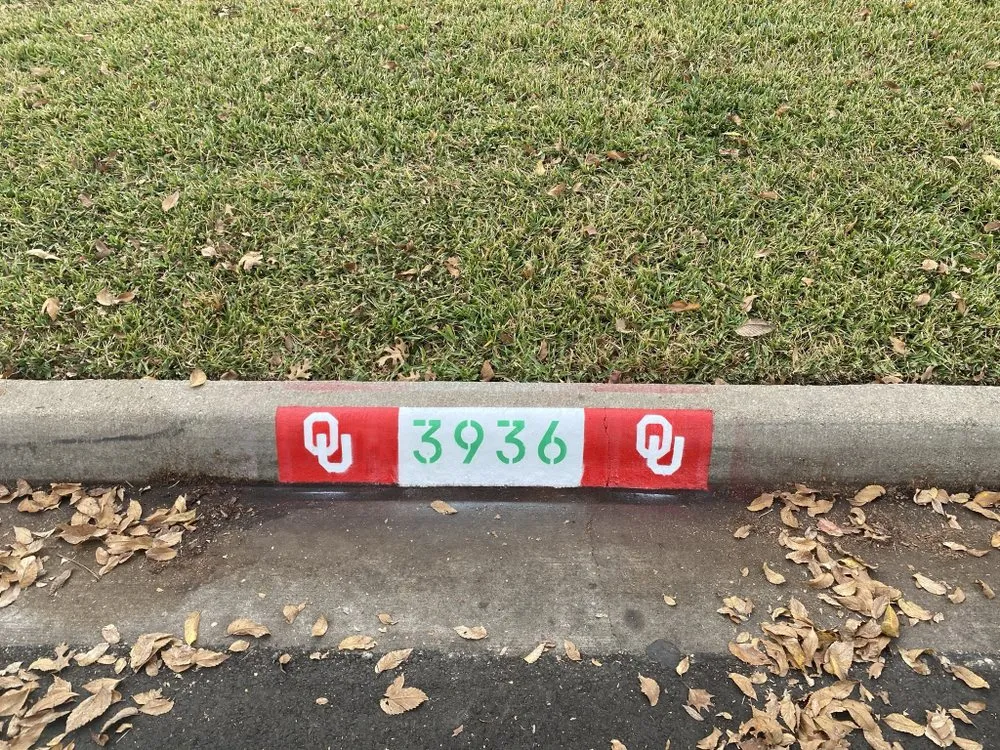 Professional landscape installation experts serving Houston, TX - Pure-N-Rich