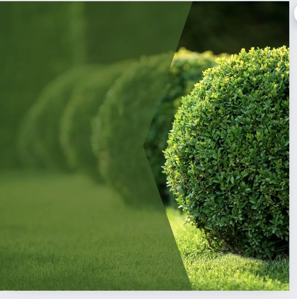 Top-rated outdoor landscaping in Houston, TX by Pure-N-Rich