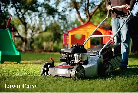 Reliable lawn care service for residential properties in Houston, TX by Pure-N-Rich