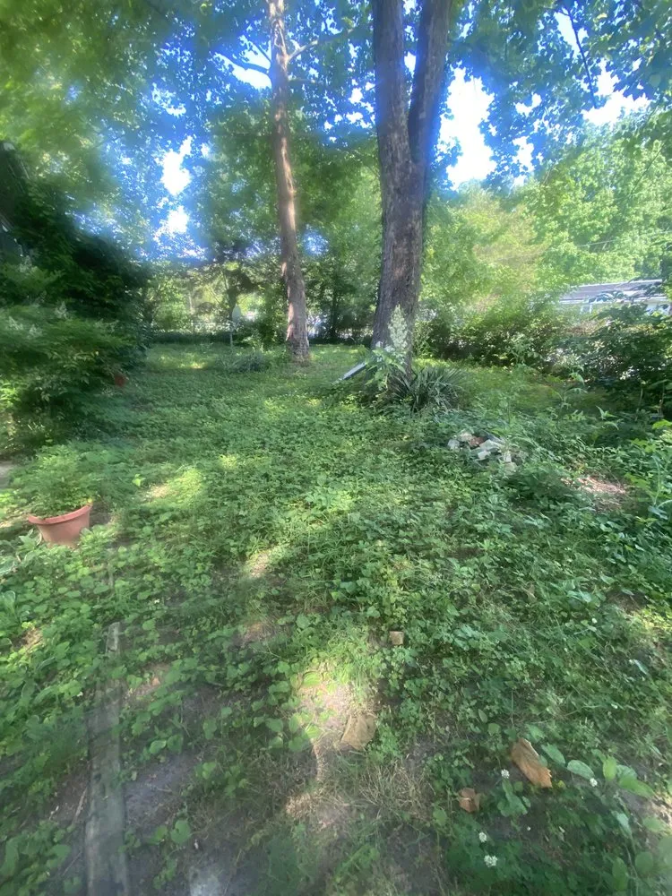 Affordable landscape design for year-round maintenance across Salisbury, MD - Pure Power Lawncare