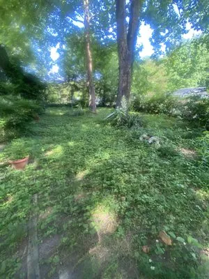 Pure Power Lawncare Logo