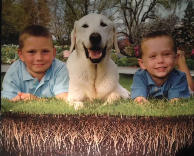 Local yard maintenance in Joliet, IL - Pure Prairie Organics