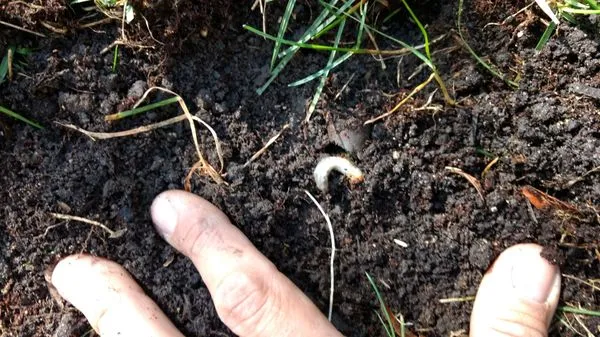 Pure Prairie Organics Logo