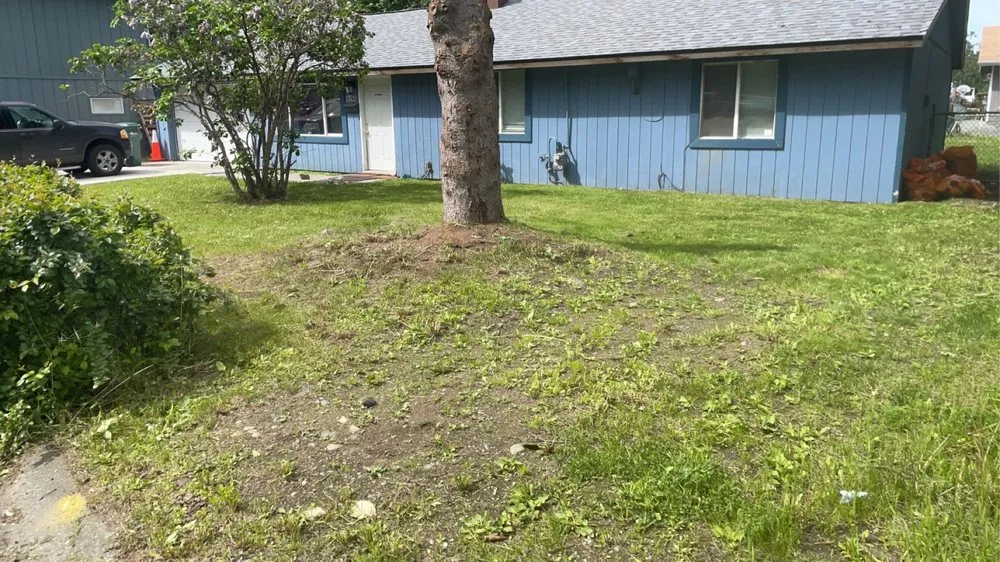 Trusted outdoor landscaping experts serving Anchorage, AK - Pure Pressure