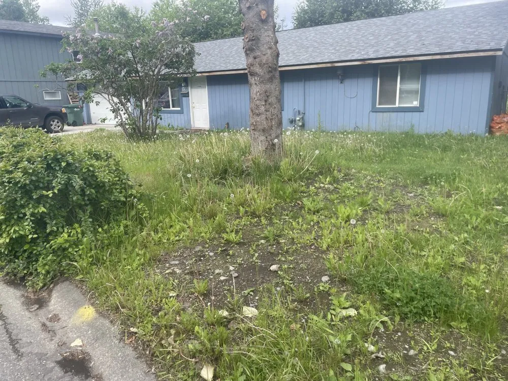 Expert yard cleanup service for beautiful yards in Anchorage, AK by Pure Pressure