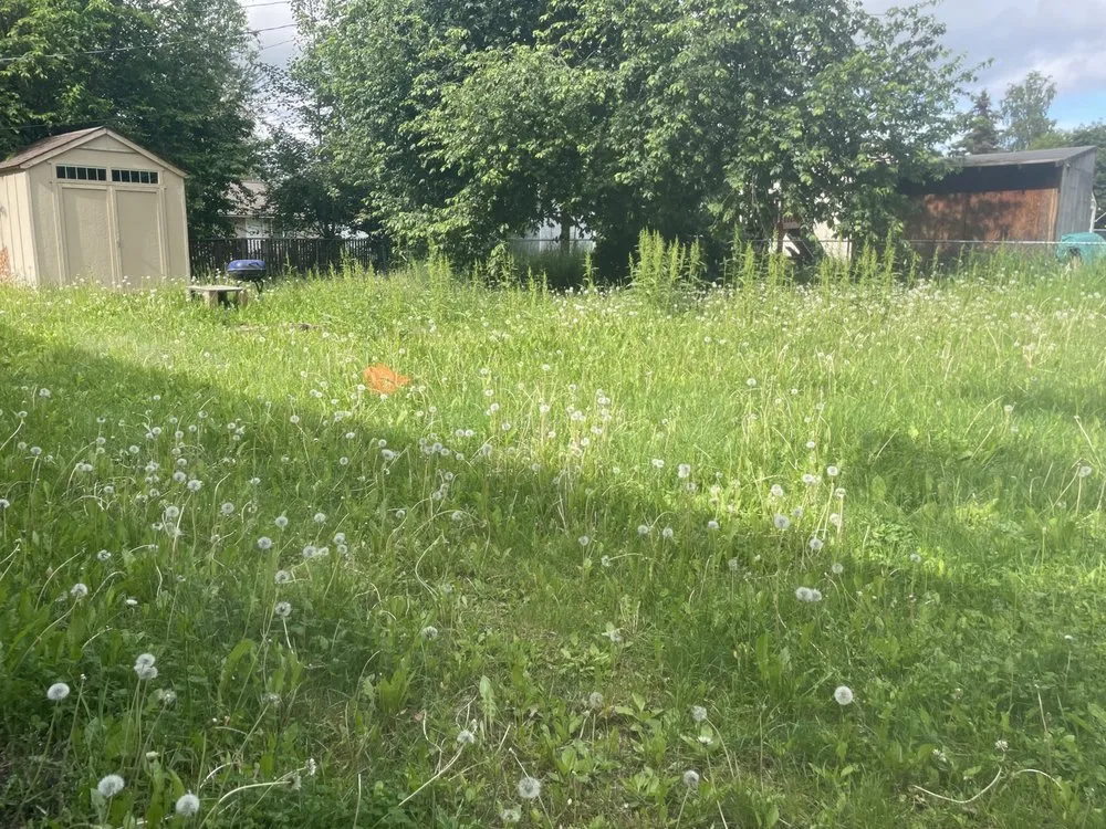 Reliable lawn mowing service experts serving Anchorage, AK - Pure Pressure