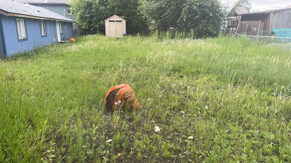 Local residential landscaping in Anchorage, AK - Pure Pressure