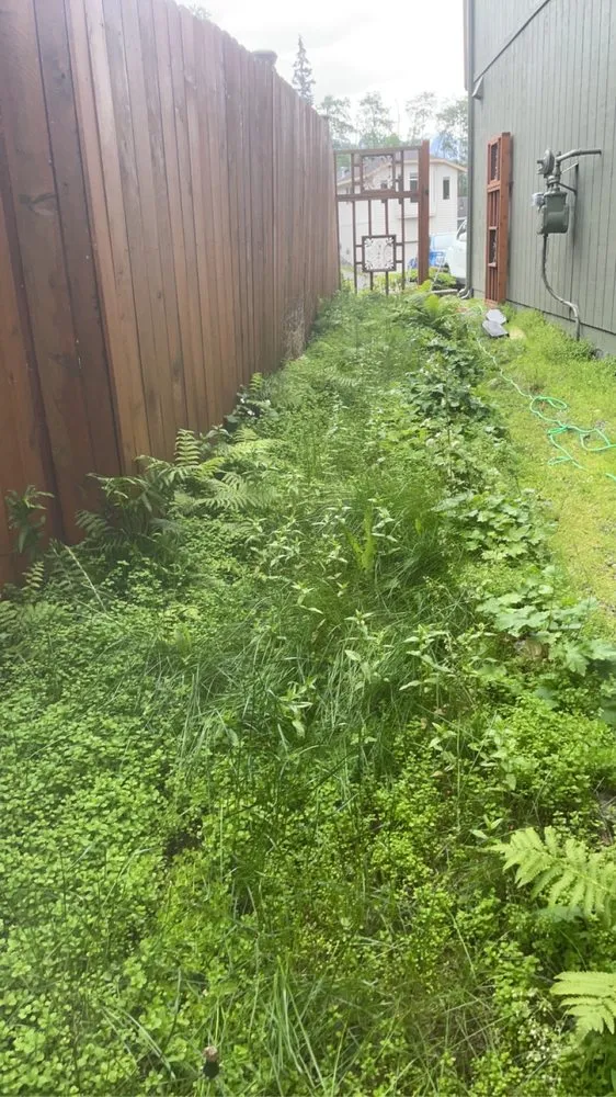 Affordable yard maintenance for residential properties in Anchorage, AK by Pure Pressure