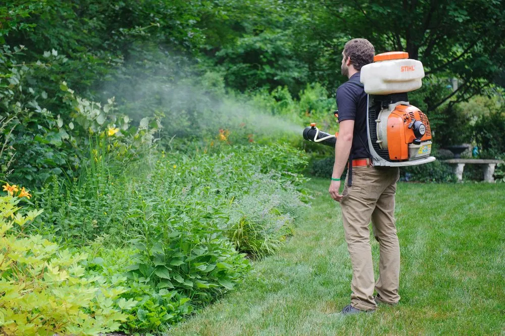 Custom landscaping services in Lyme, NH - Pure Solutions
