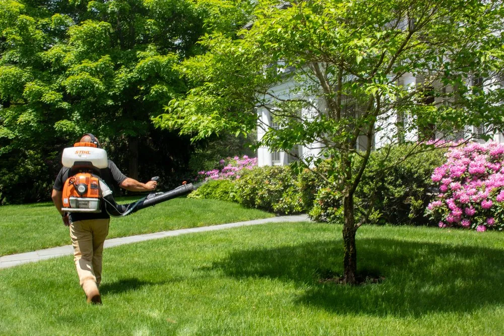 Affordable yard cleanup service for residential properties across Vineyard Haven, MA - Pure Solutions