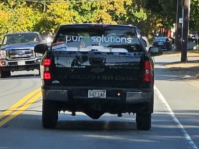 Top-rated landscaping services with custom design in Weston, MA by Pure Solutions