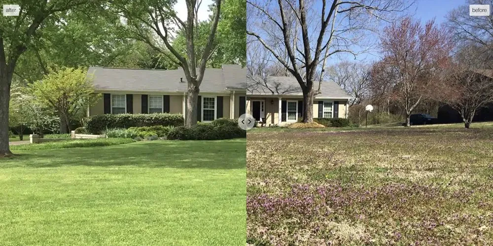 Professional yard cleanup service for outdoor upgrades across Brentwood, TN - Pure Turf, LLC