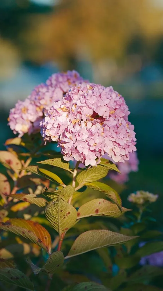 Top-rated lawn care service experts serving Brentwood, TN - Pure Turf, LLC