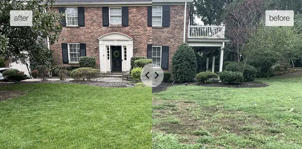 Affordable landscape design experts serving Brentwood, TN - Pure Turf, LLC