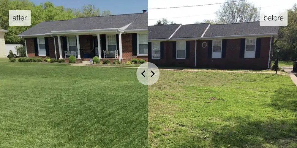 Affordable landscape installation in Brentwood, TN by Pure Turf, LLC