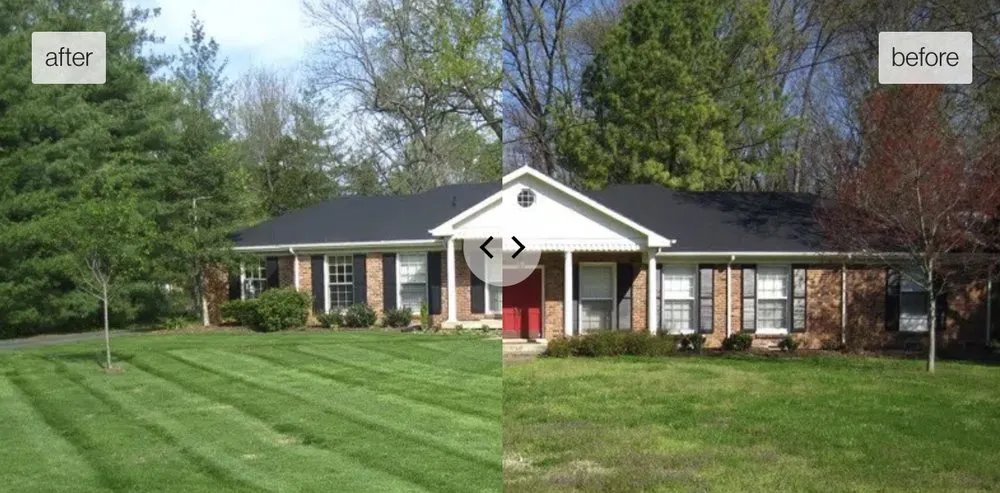 Professional landscape design for year-round maintenance in Brentwood, TN by Pure Turf, LLC