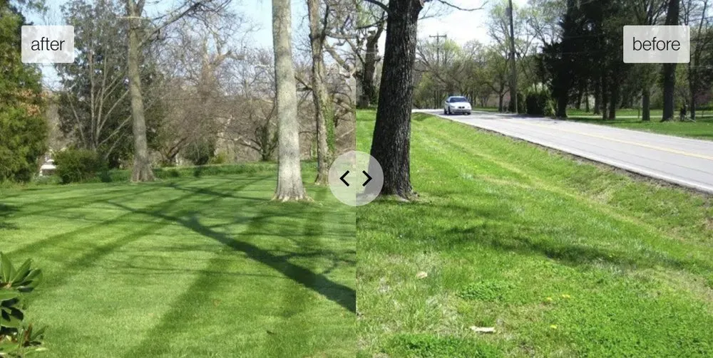 Reliable landscape installation for homes across Brentwood, TN - Pure Turf, LLC