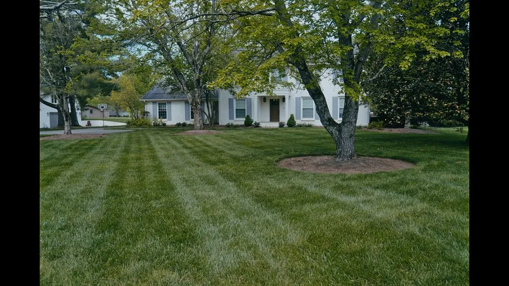 Top-rated landscape installation for homes across Brentwood, TN - Pure Turf, LLC