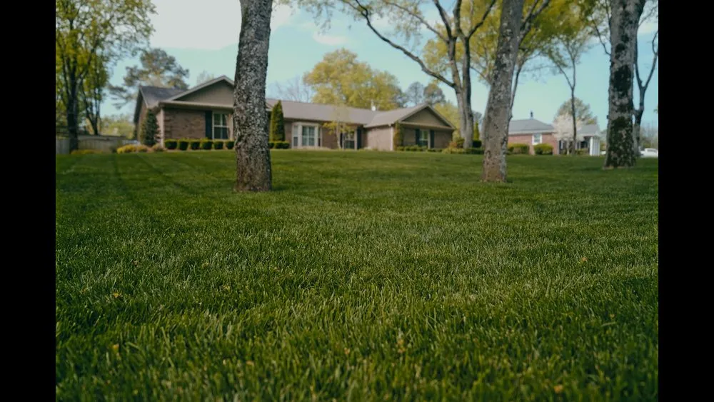 Custom landscape installation experts serving Brentwood, TN - Pure Turf, LLC