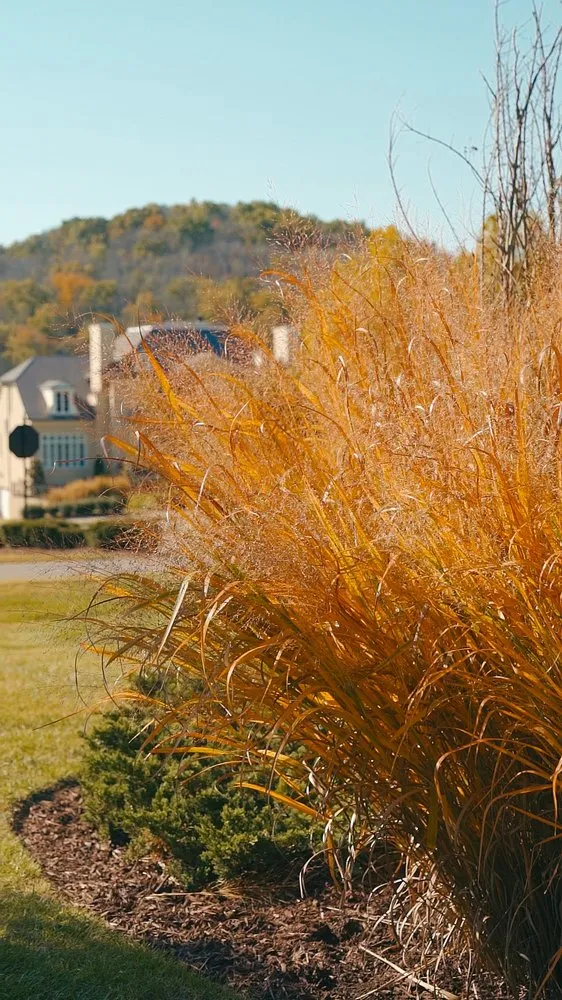 Affordable landscape design in Brentwood, TN - Pure Turf, LLC