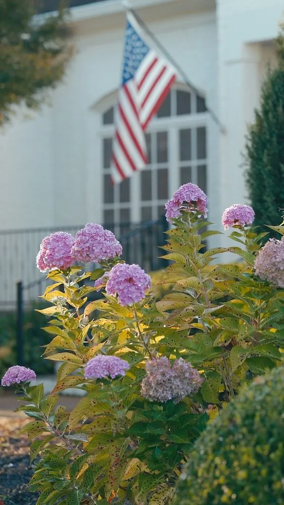Reliable landscape installation in Brentwood, TN - Pure Turf, LLC