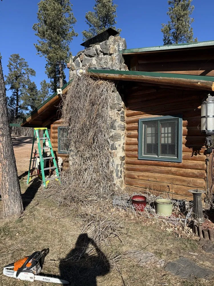 Affordable landscape design for outdoor upgrades across Rapid City, SD - Pure Vision Cleaning & Landscapes