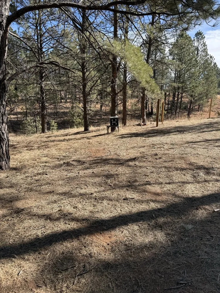 Expert yard maintenance for homes across Rapid City, SD - Pure Vision Cleaning & Landscapes