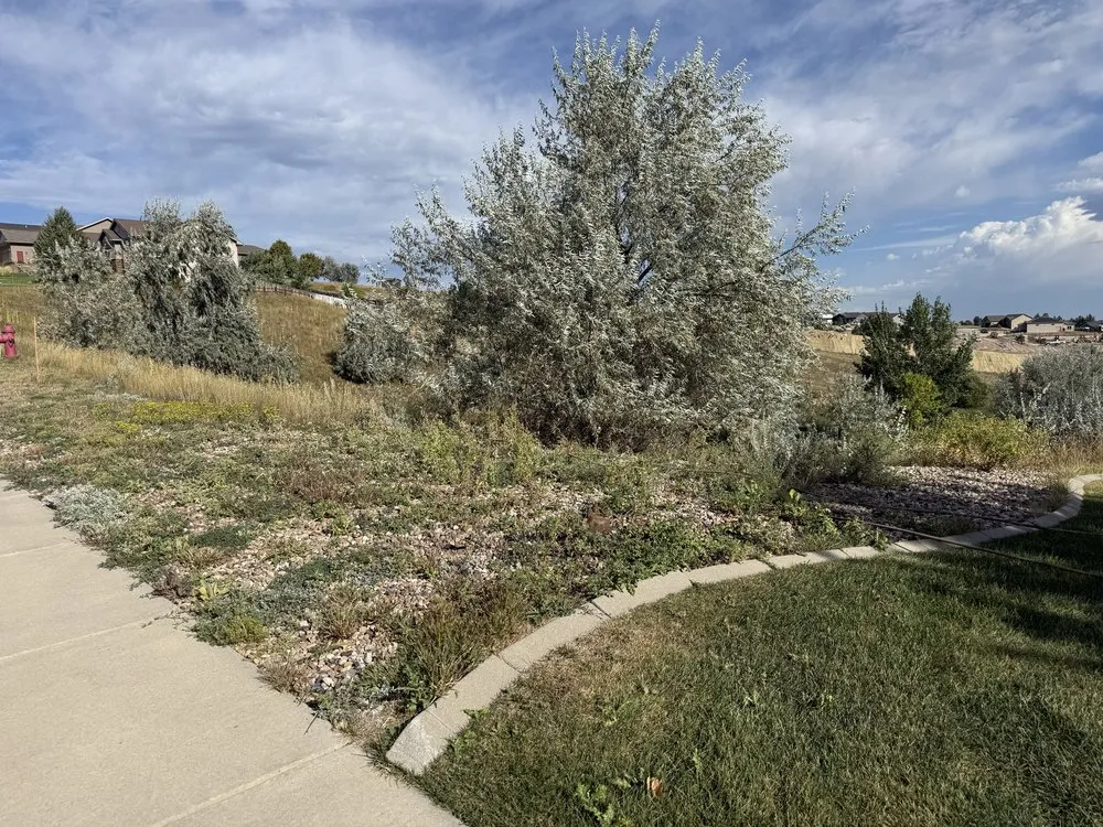 Custom landscape design in Rapid City, SD - Pure Vision Cleaning & Landscapes