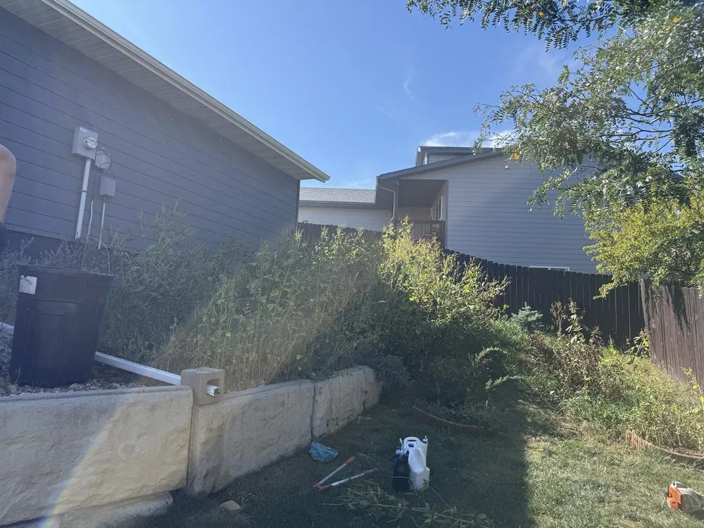 Custom landscape installation experts serving Rapid City, SD - Pure Vision Cleaning & Landscapes