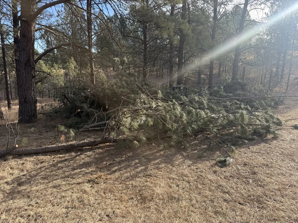 Expert landscape design in Rapid City, SD - Pure Vision Cleaning & Landscapes