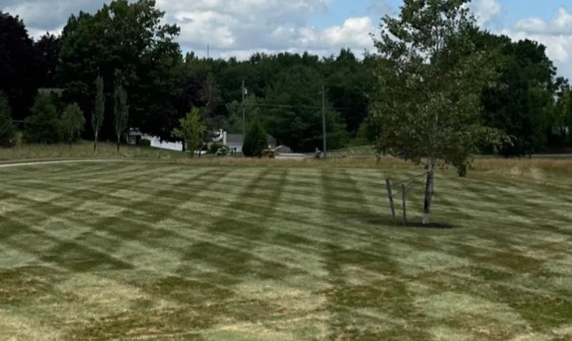 Custom yard maintenance in Hartville, OH - PureGreen Landscaping