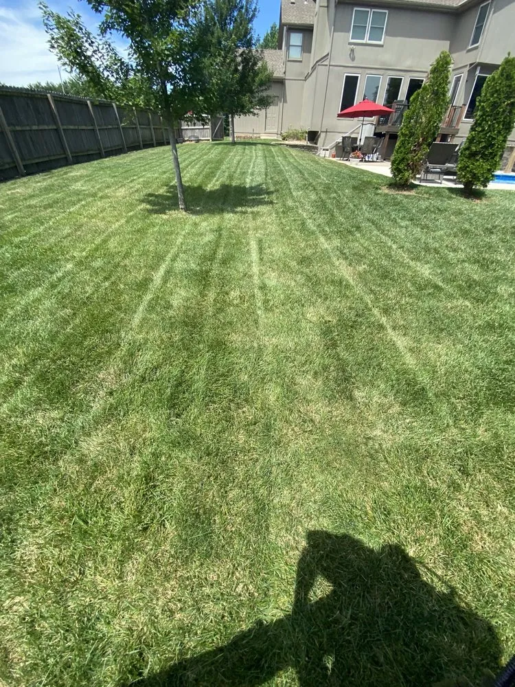 Affordable yard maintenance in Overland Park, KS - PureGreen