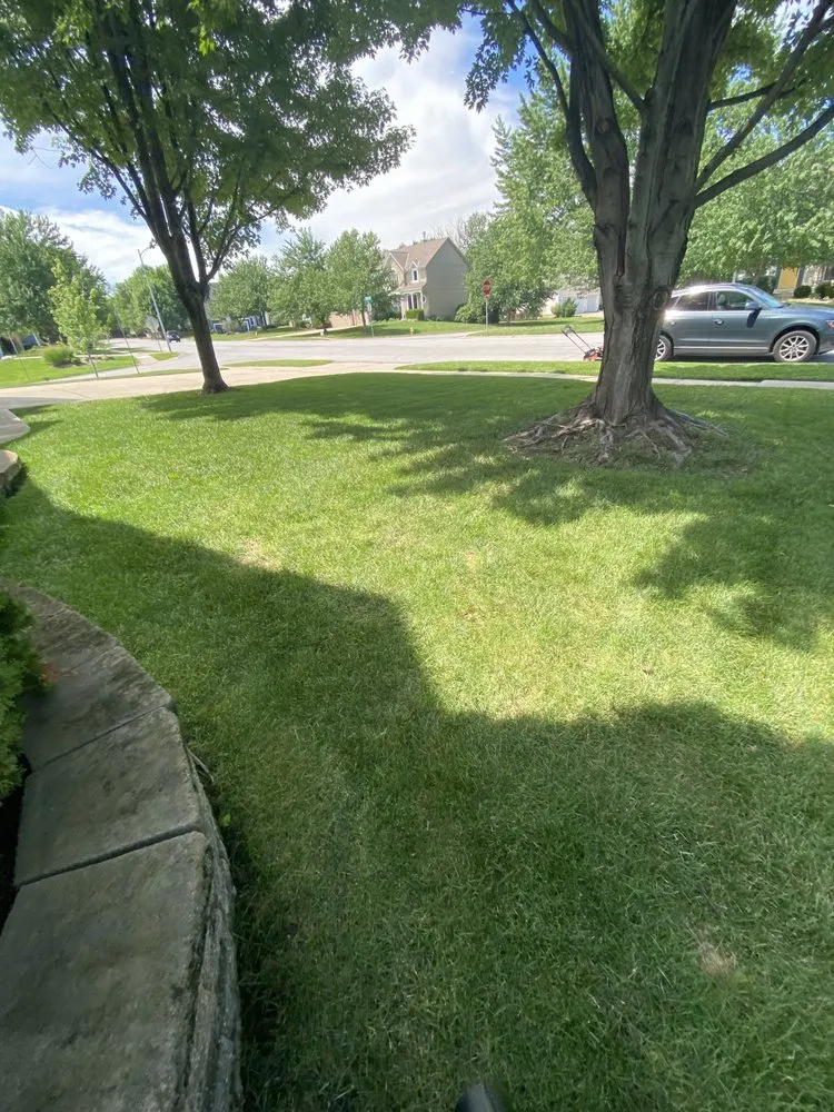Top-rated landscaping services in Overland Park, KS - PureGreen