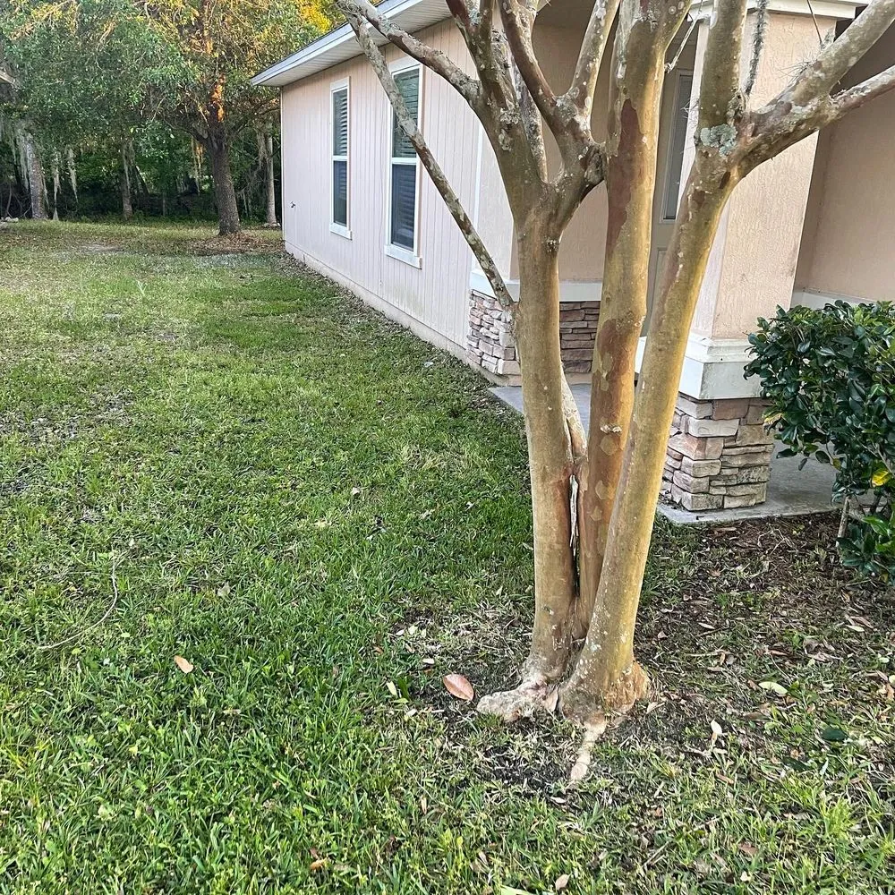 Professional yard maintenance near you in Jacksonville, FL by Puregrind Landscaping