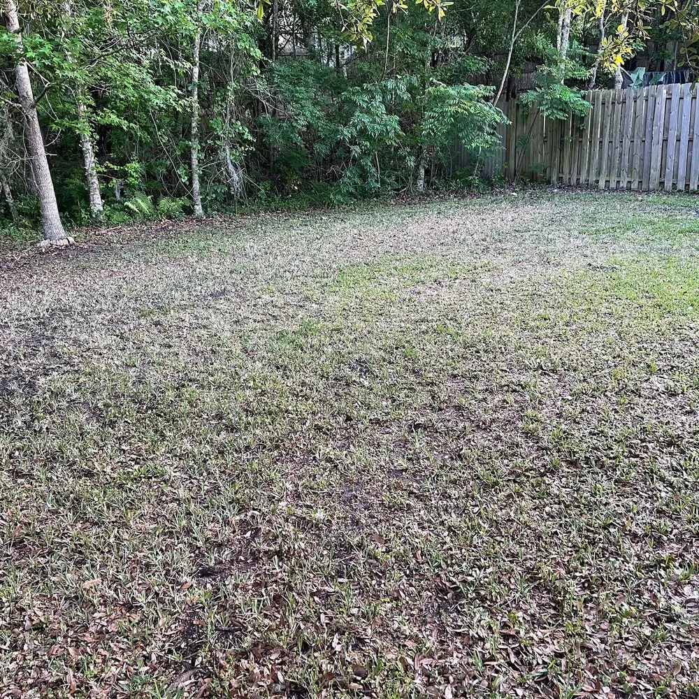 Custom landscaping services in Jacksonville, FL by Puregrind Landscaping