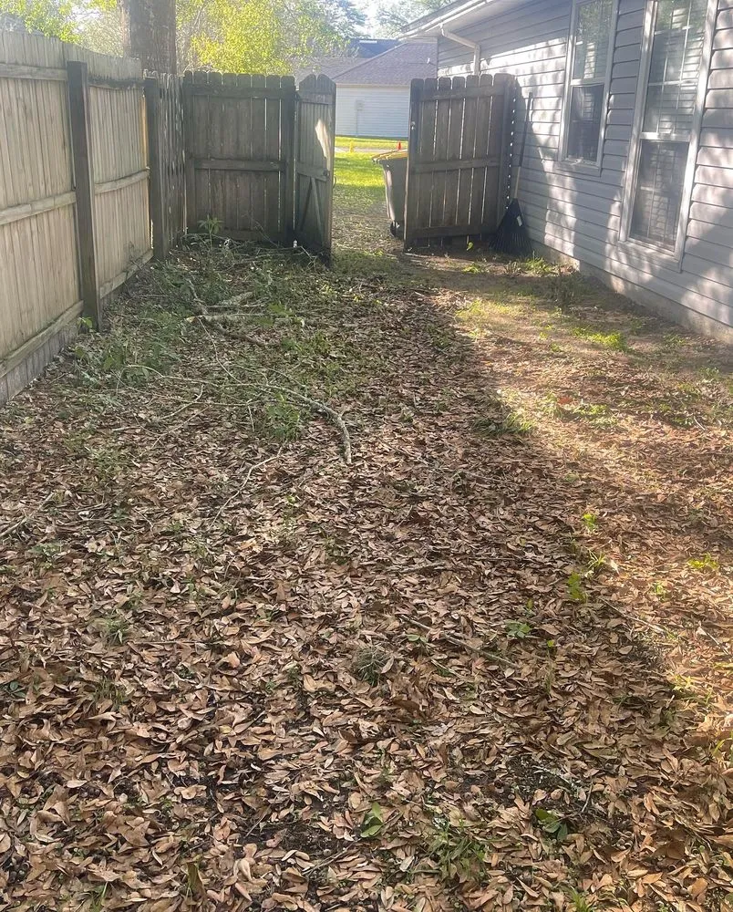Reliable yard cleanup service in Jacksonville, FL by Puregrind Landscaping