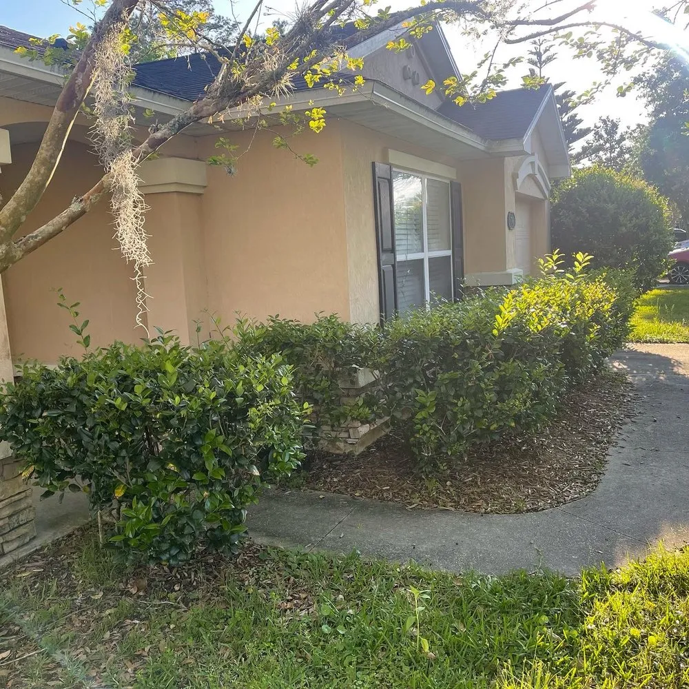 Custom yard cleanup service for homes across Jacksonville, FL - Puregrind Landscaping