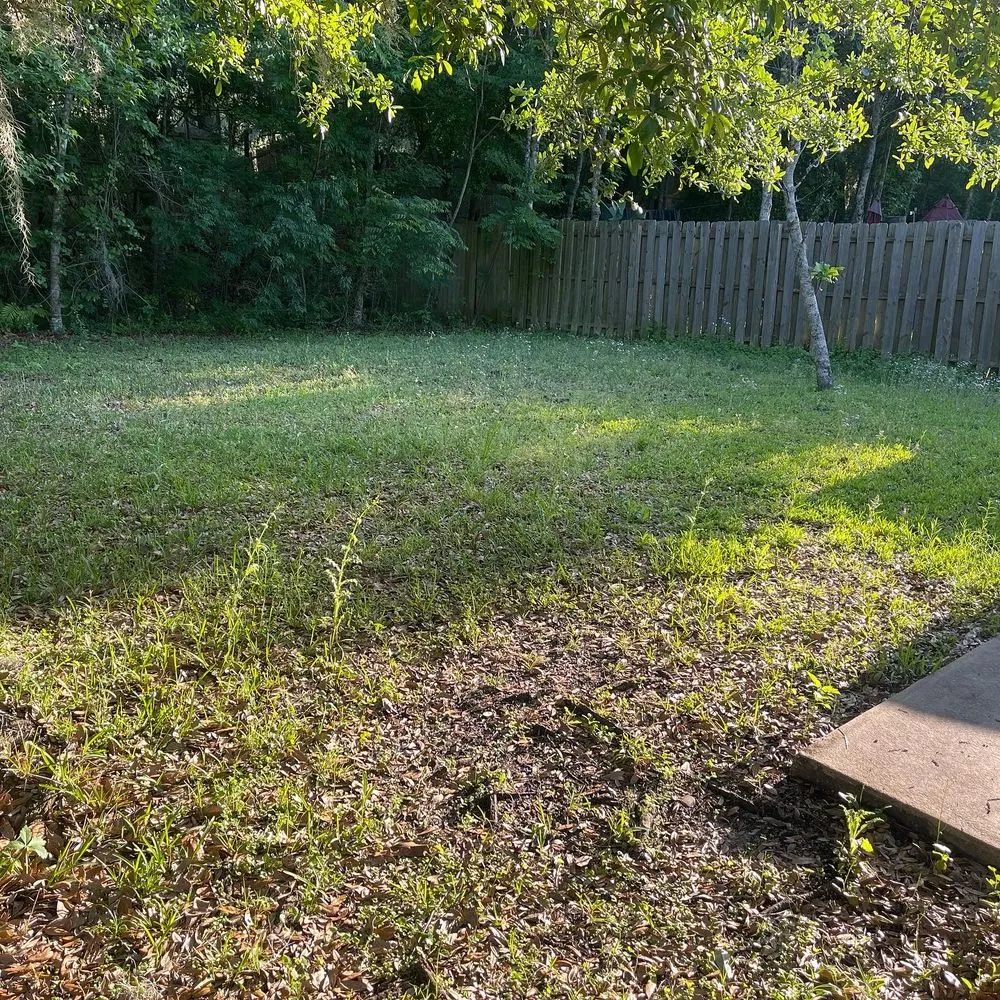 Reliable residential landscaping for beautiful yards in Jacksonville, FL by Puregrind Landscaping