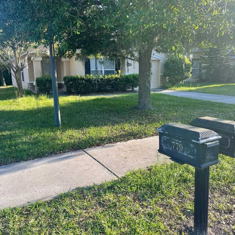 Reliable yard cleanup service in Jacksonville, FL by Puregrind Landscaping