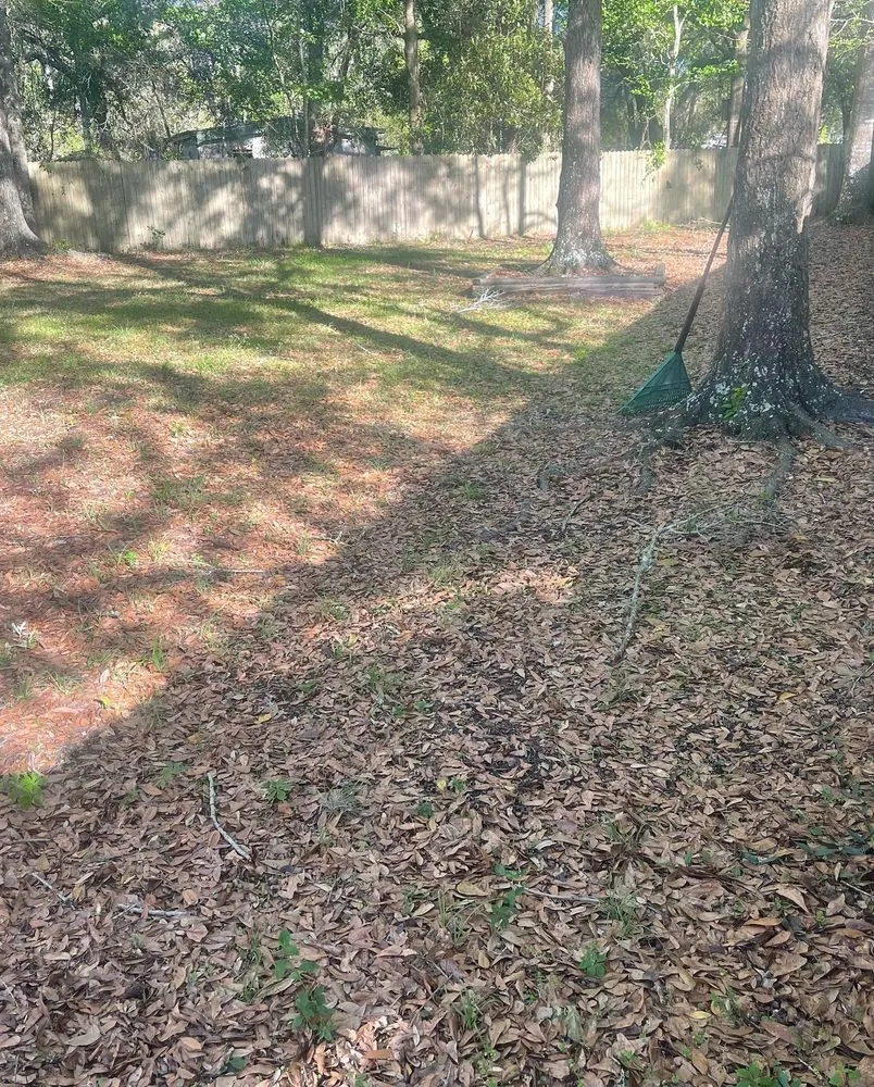 Top-rated yard maintenance in Jacksonville, FL - Puregrind Landscaping