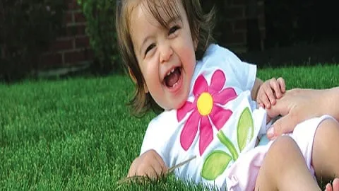 Professional garden landscaping for outdoor upgrades across Cincinnati, OH - Purelawn Organic Lawncare