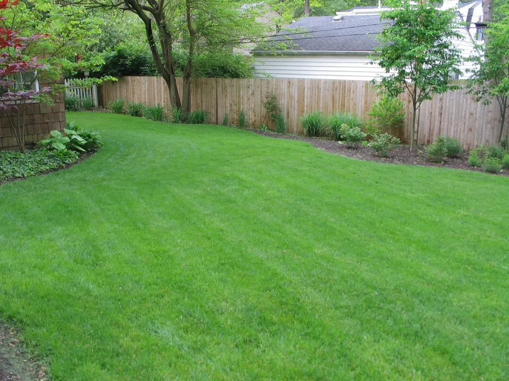 Trusted landscape design in Cincinnati, OH - Purelawn Organic Lawncare