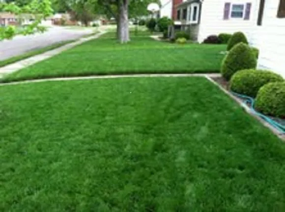 Top-rated lawn mowing service experts serving Cincinnati, OH - Purelawn Organic Lawncare