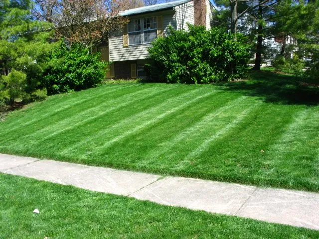 Affordable yard cleanup service in Dayton, OH by Purelawn Organic Lawncare