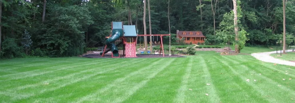 Trusted yard cleanup service for beautiful yards in Dayton, OH by Purelawn Organic Lawncare