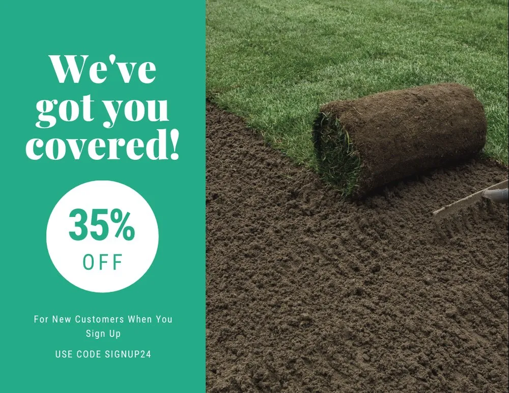 Local yard cleanup service in Fredericksburg, TX by Pureleaf Landscapes